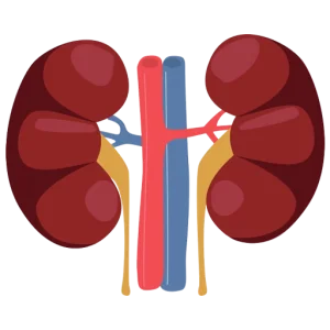 Acute Kidney Disease
