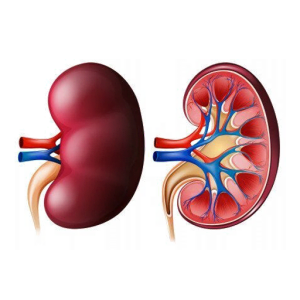 Creatinine