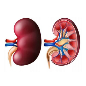 Creatinine