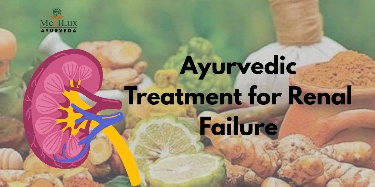 Ayurvedic Treatment for Renal Failure in USA