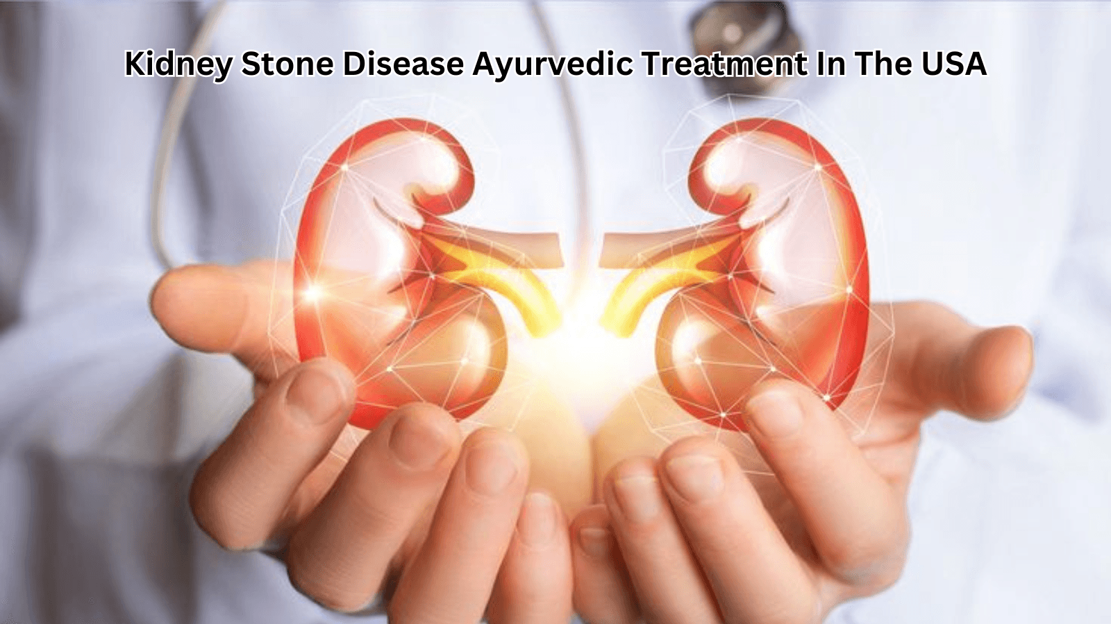 Kidney Stone Disease Ayurvedic Treatment in the USA