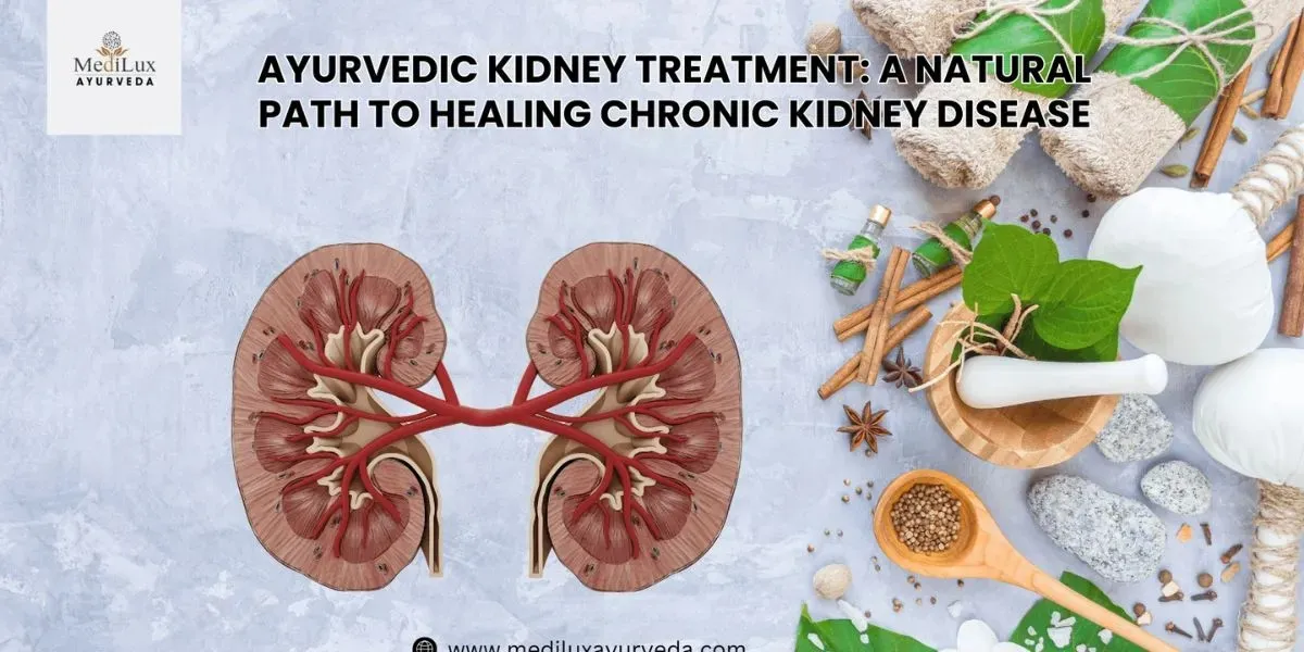 Ayurvedic Kidney Treatment