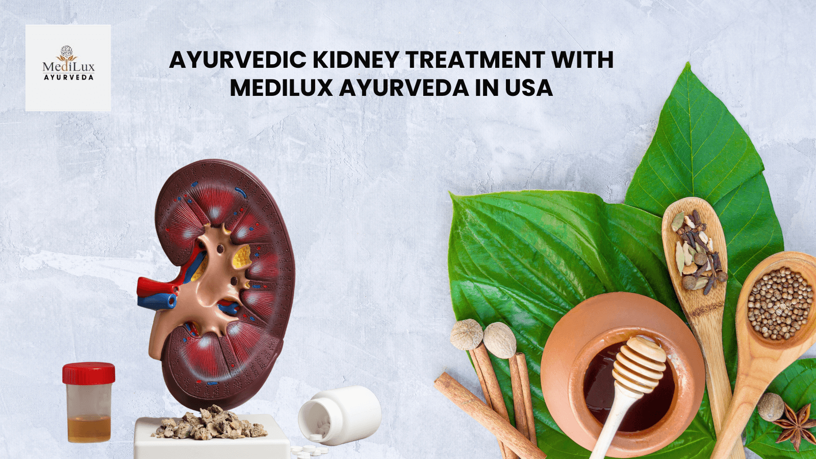 Ayurvedic Kidney Treatment with Medilux Ayurveda in USA