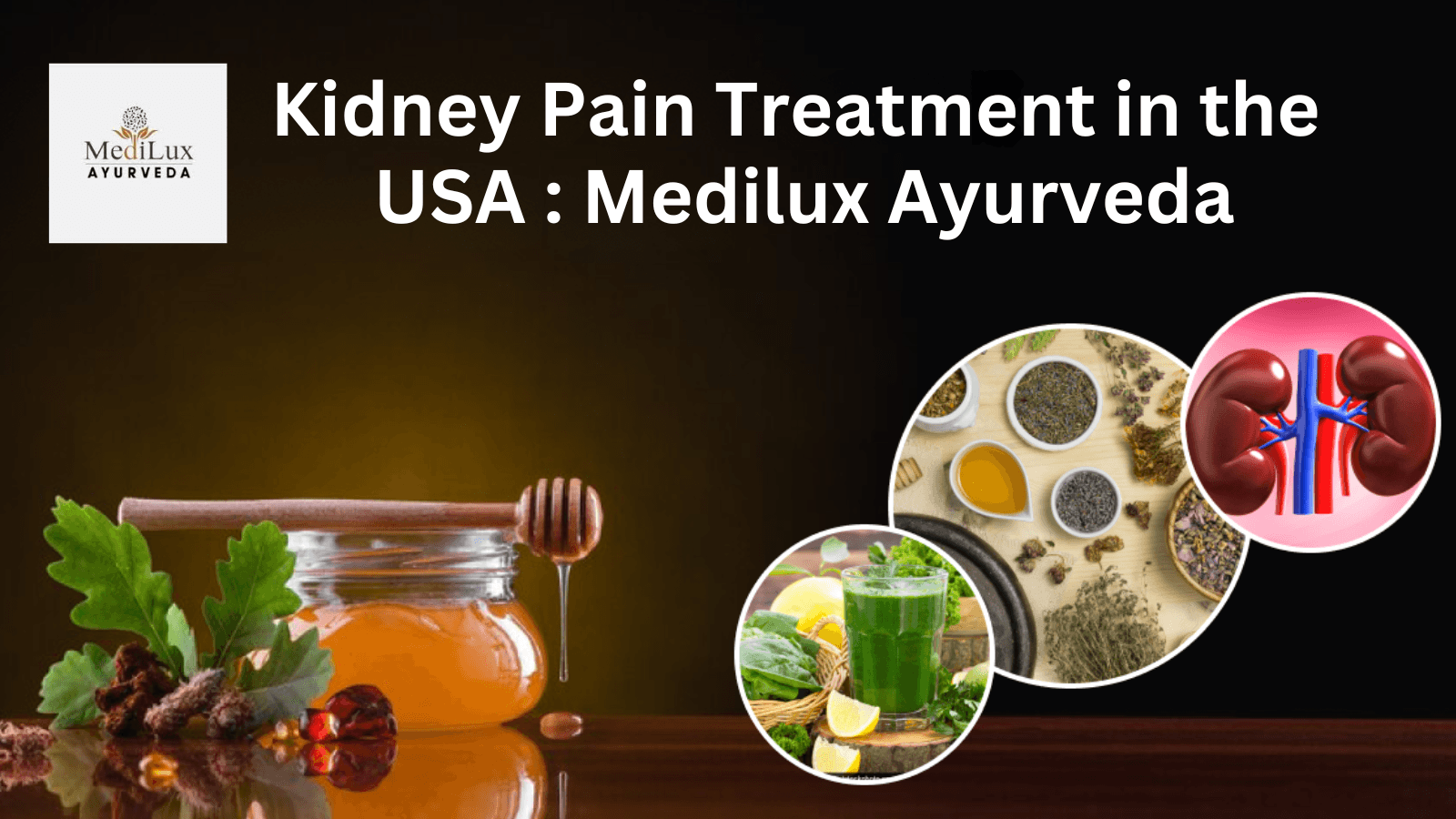 Kidney Pain Treatment in the USA : Medilux Ayurveda
