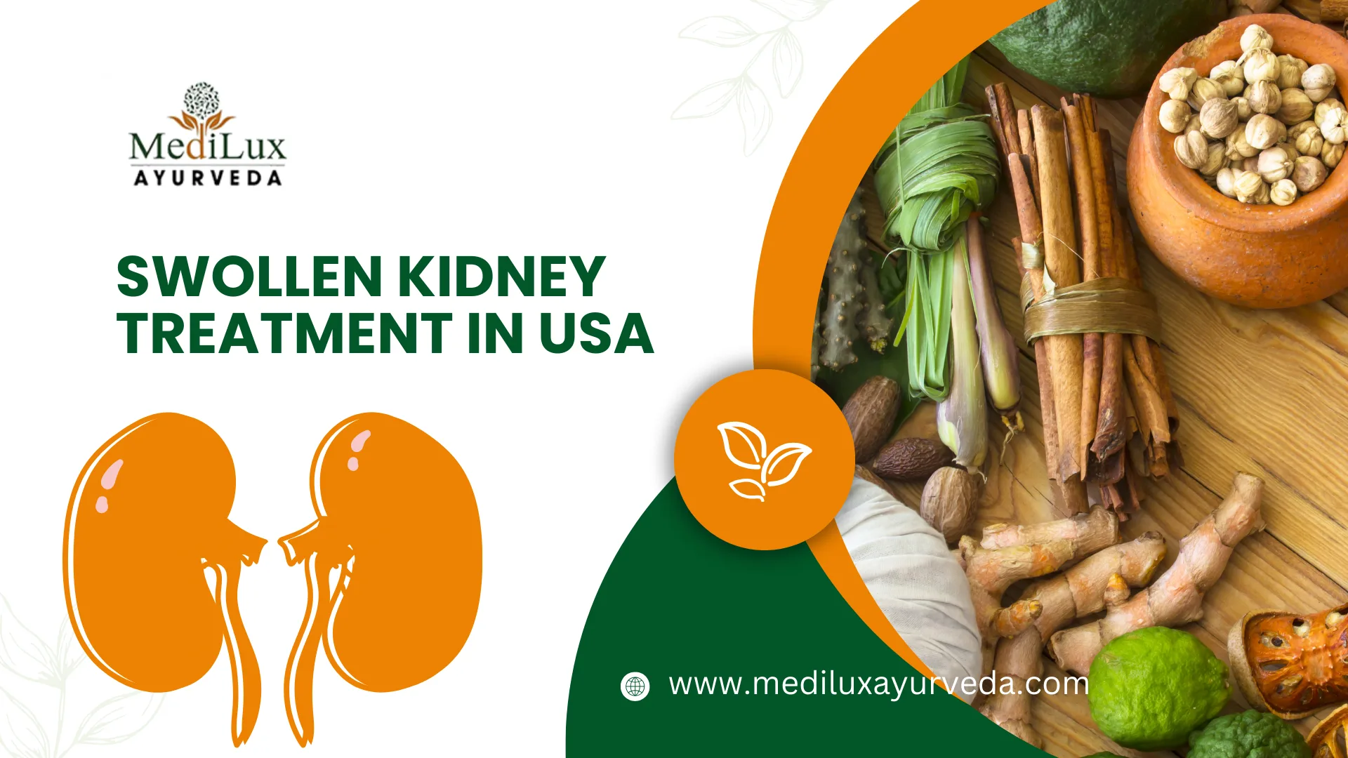Swollen Kidney Treatment in USA : Medilux Ayurveda