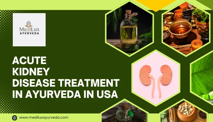 Acute Kidney Disease Treatment in Ayurveda in USA