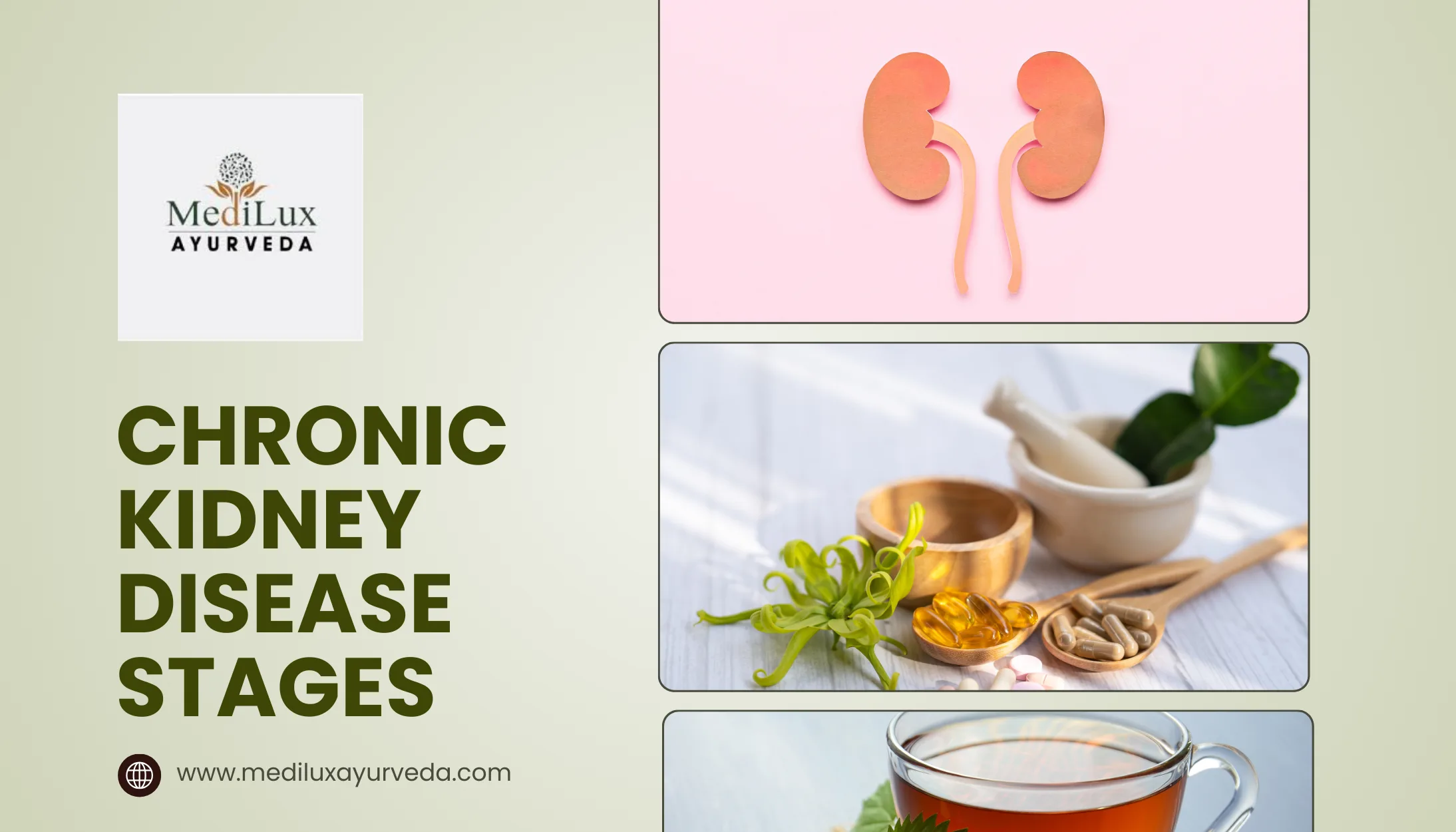 Chronic Kidney Disease Stages