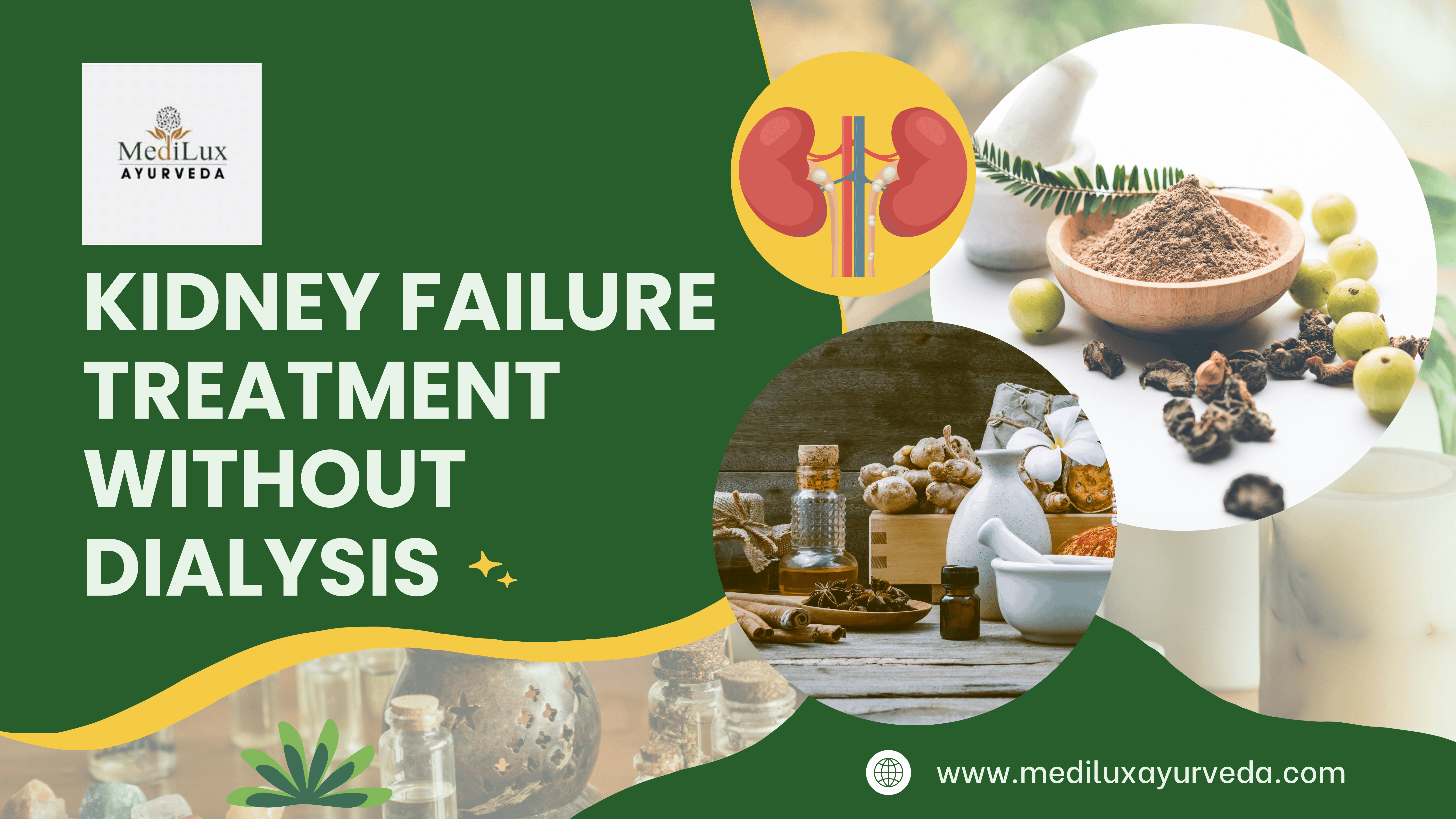 Kidney Failure Treatment Without Dialysis