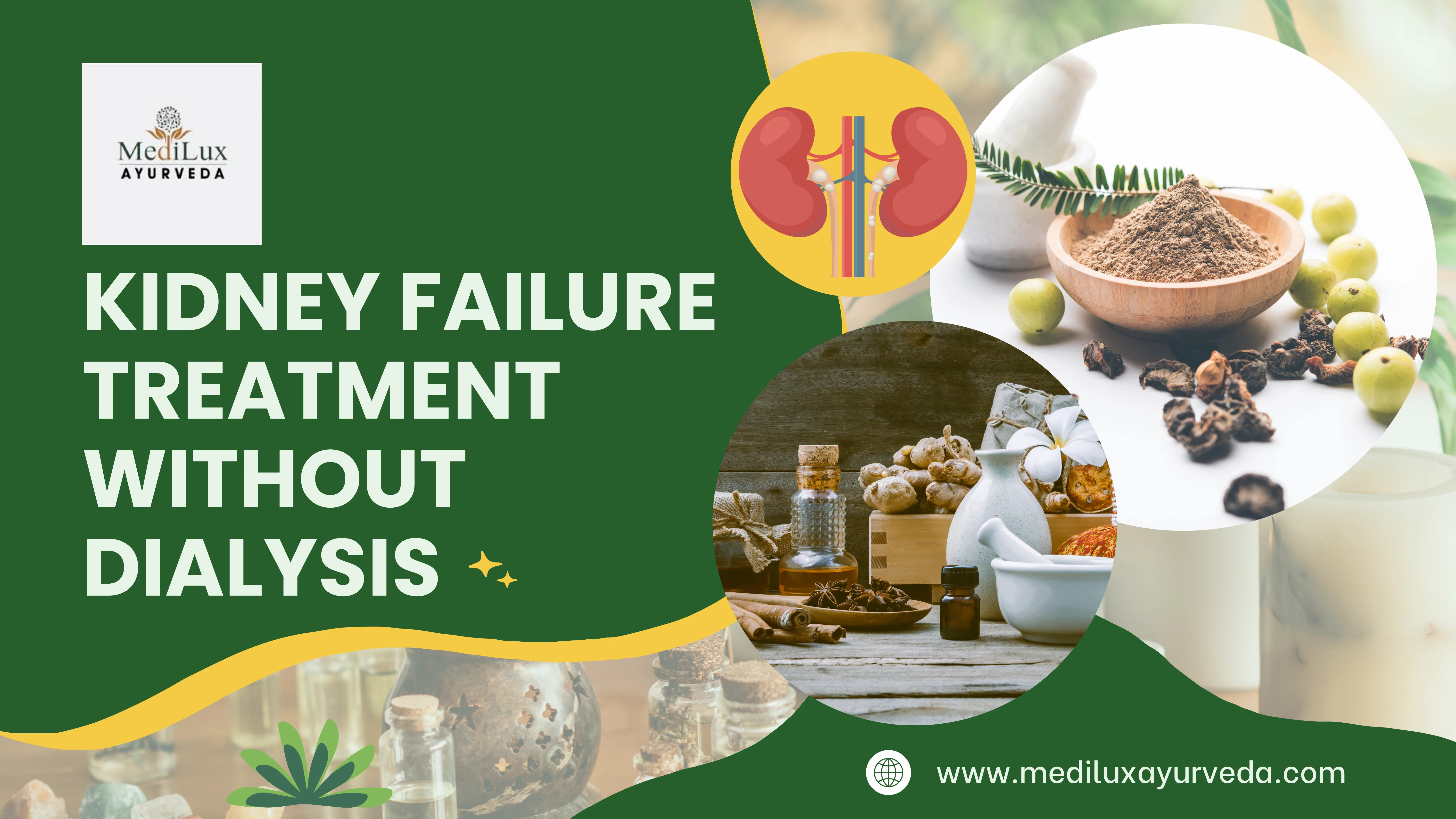 Kidney Failure Treatment Without Dialysis