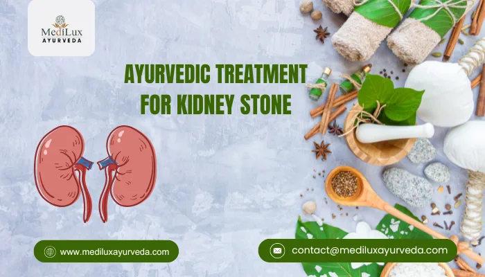 Ayurvedic Treatment for Kidney Stone