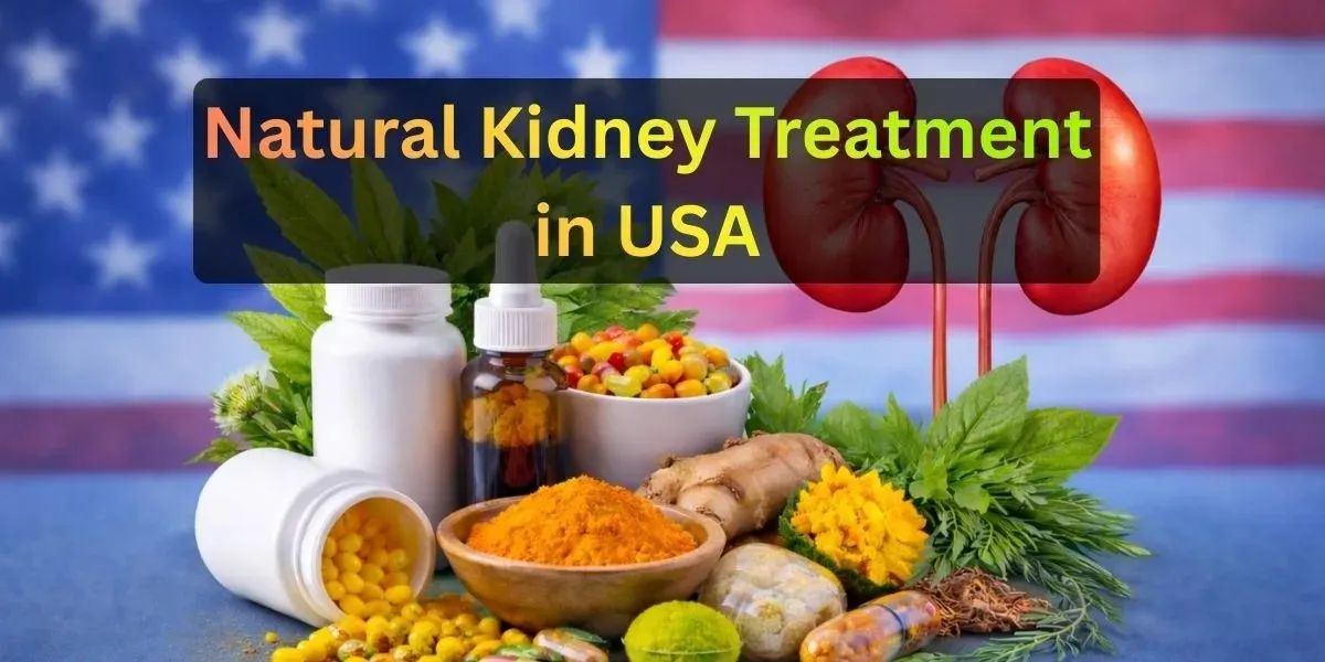 Natural Kidney Treatment in USA