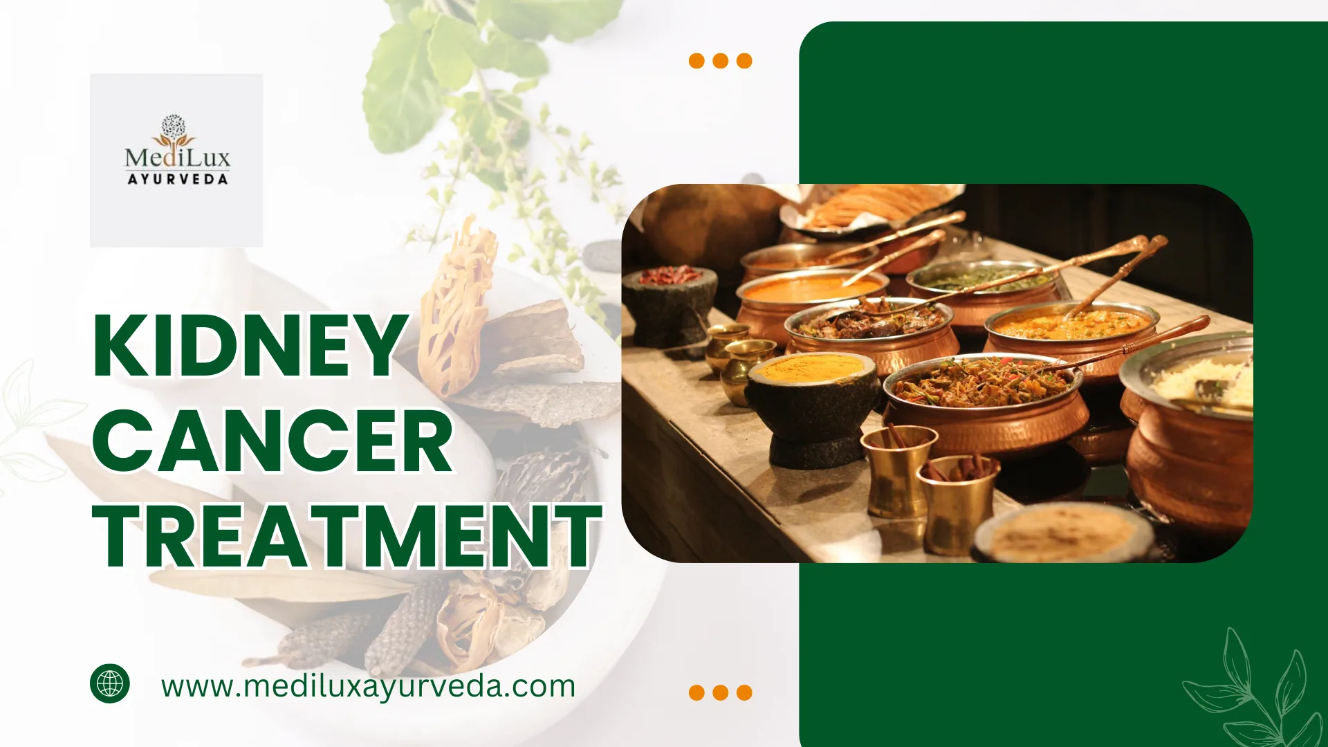 Kidney Cancer Treatment