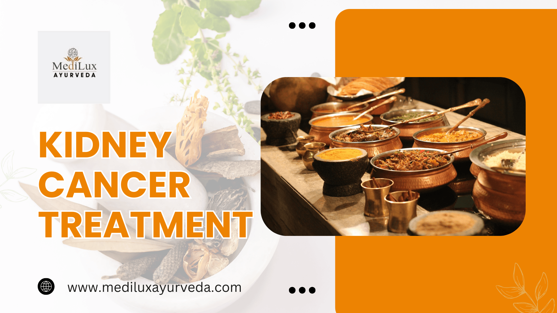 Kidney Cancer Treatment