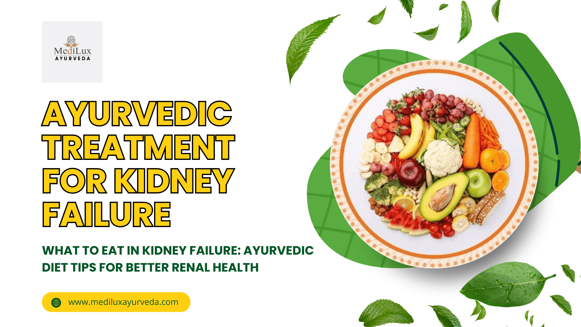 Ayurvedic Treatment for Kidney Failure 