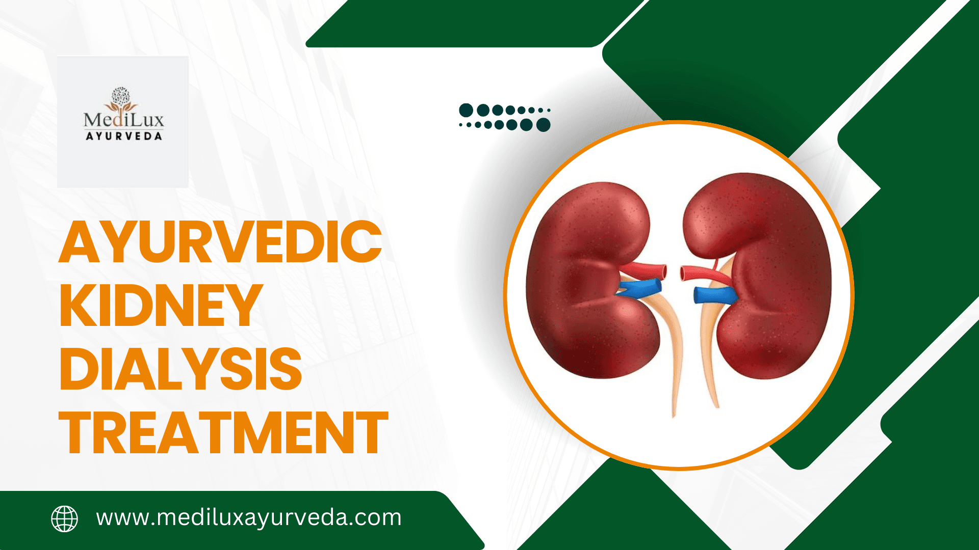 Ayurvedic Kidney Dialysis Treatment
