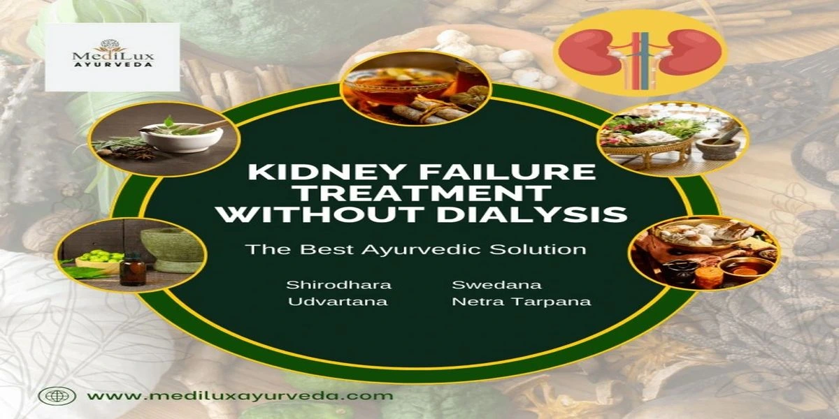 Kidney Failure Treatment Without Dialysis