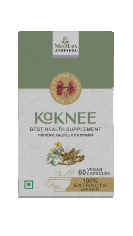 best ayurvedic kidney treatment hospital