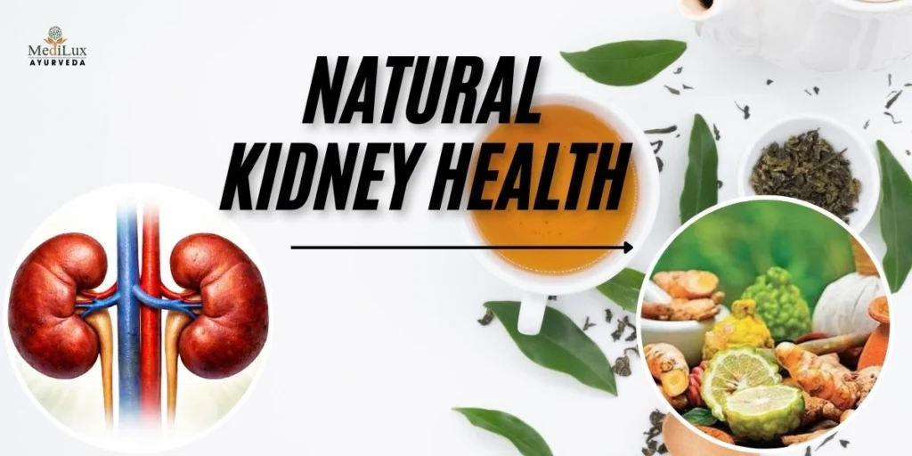 Natural Remedies for Kidney Health