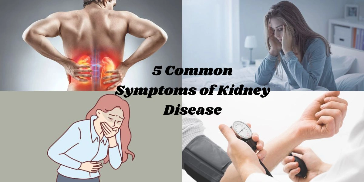 5 Common Symptoms of Kidney Disease