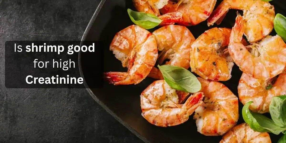 Is Shrimp Good for High Creatinine