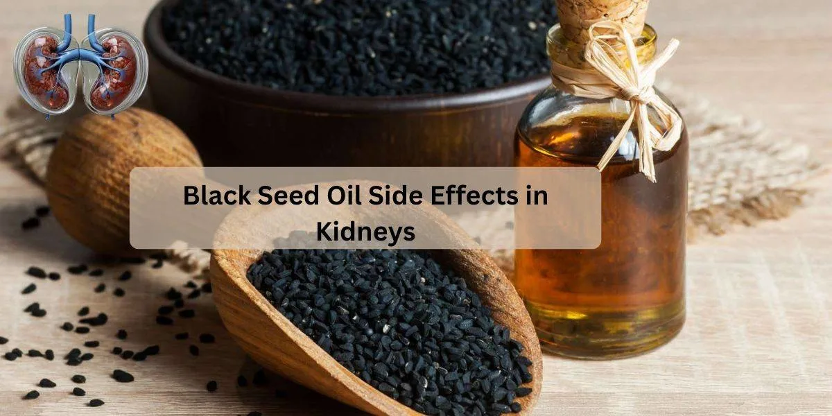 Black Seed Oil Side Effects in Kidneys