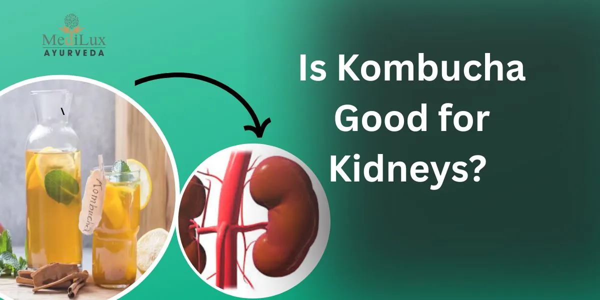 Is Kombucha Good for Kidneys?