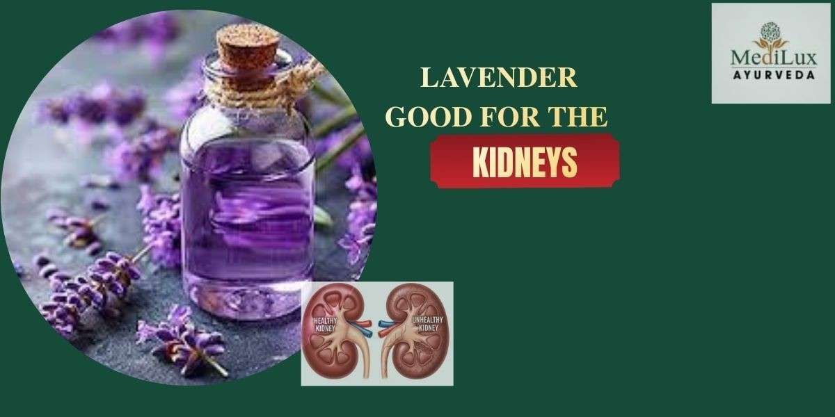 Is lavender good for the kidneys