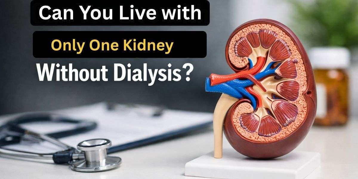 Live with One Kidney