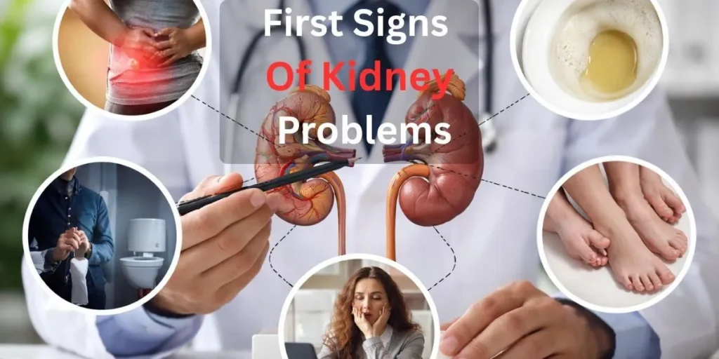 The First Signs Of Kidney Problems