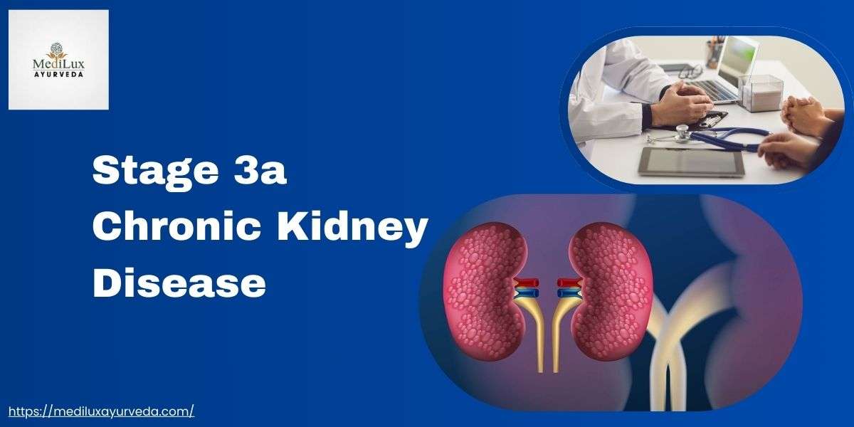 Stage 3a Chronic Kidney Disease