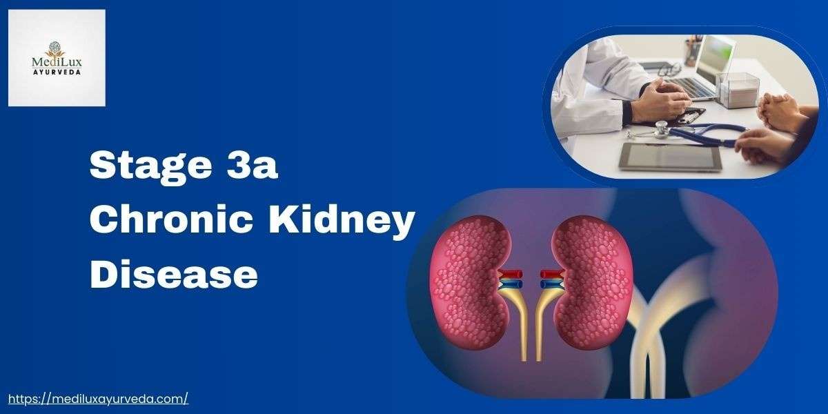 Stage 3a Chronic Kidney Disease
