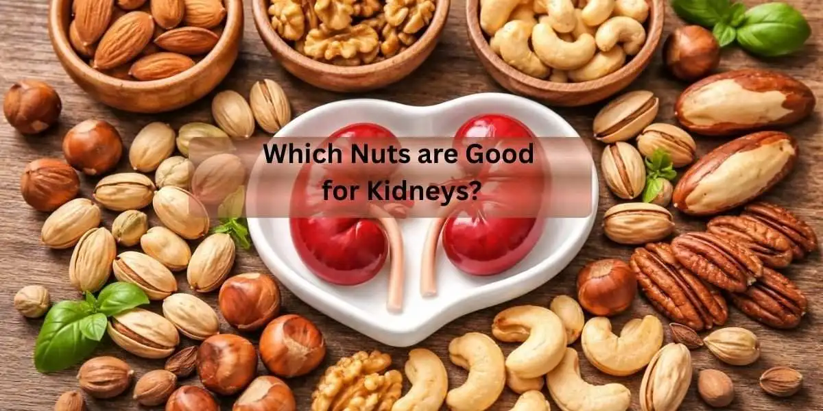 Which Nuts are Good for Kidneys