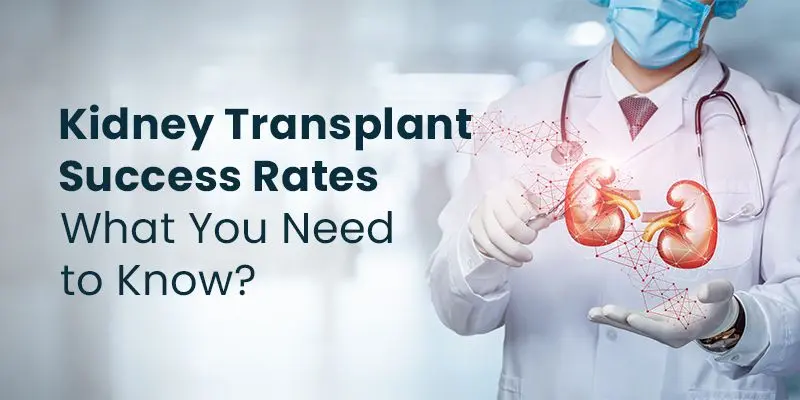 Is Kidney Transplant Successful? Ultimate Life-Saving Guide