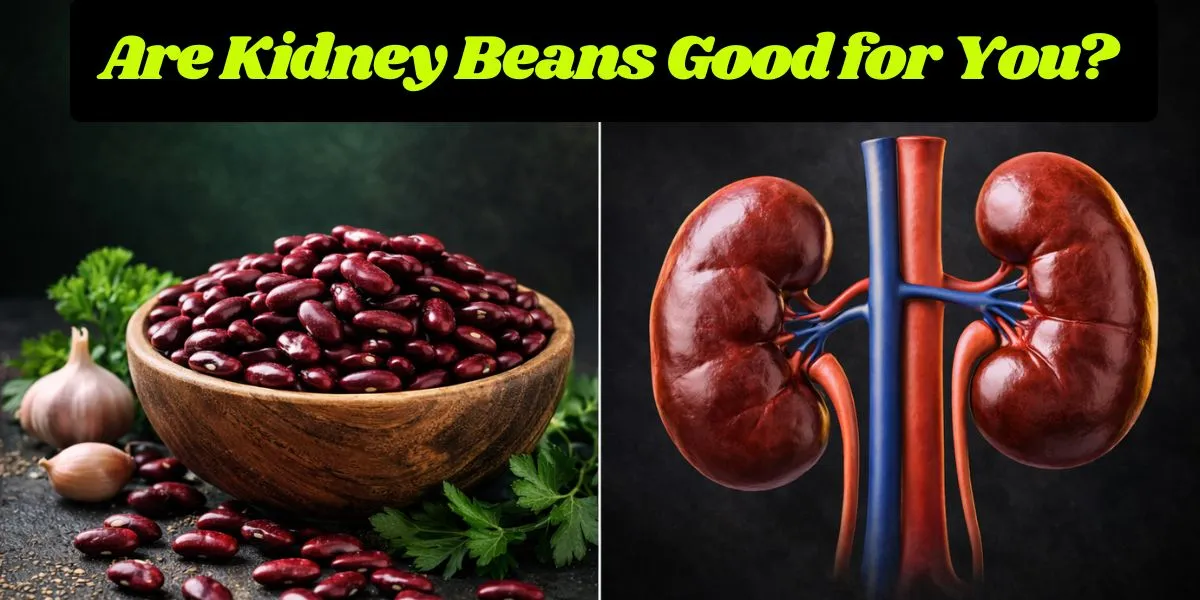 Are Kidney Beans Good for You? Health Benefits, Nutrition & Side Effects