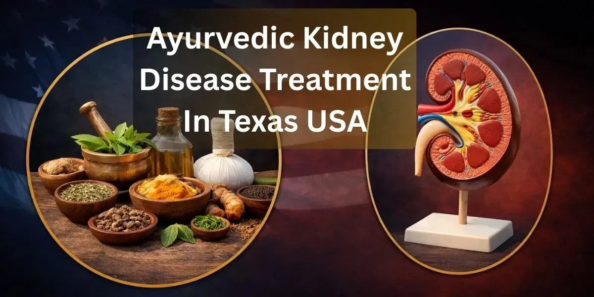 Ayurvedic Kidney Disease Treatment In Texas USA