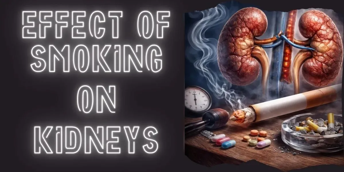 Effect Of Smoking On Kidneys
