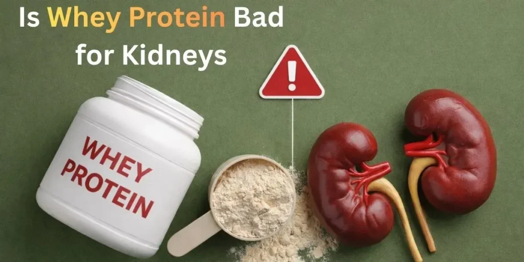 Is Whey Protein Bad for Kidneys
